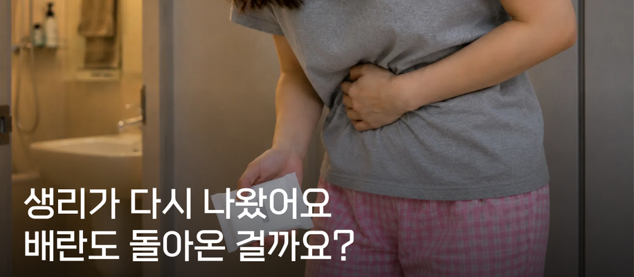 부산다낭성난소증후군, 생리가 다시 나오면 배란도 정상으로 돌아온 걸까요?