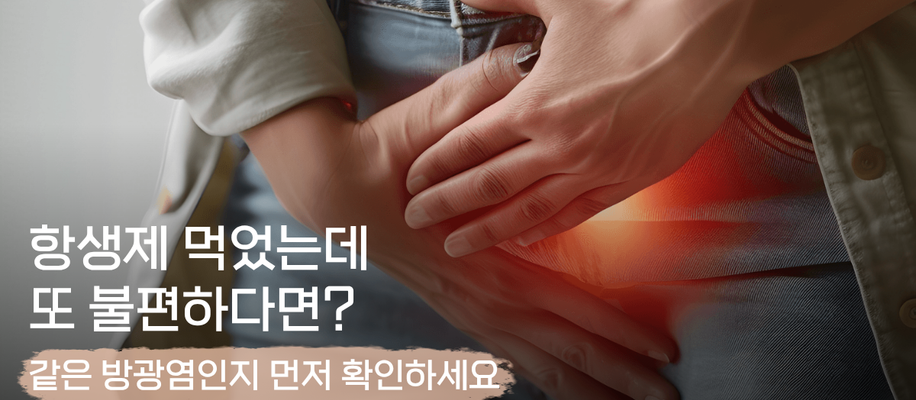 서면방광염한의원, 항생제를 먹었는데 왜 또 재발할까요?